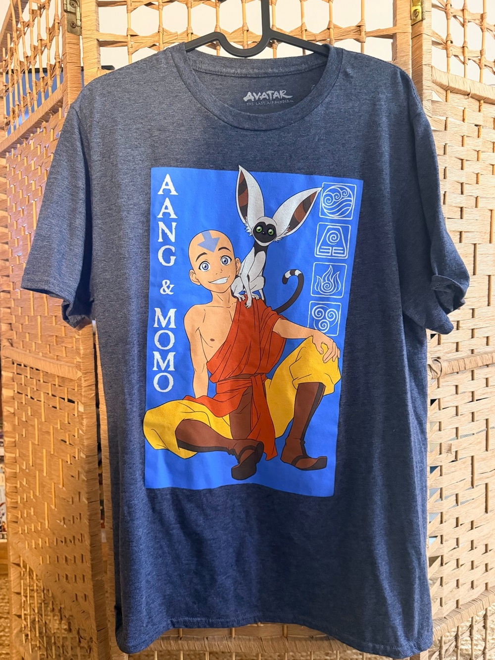 Nickelodeon Navy Blue Aang & Momo Graphic Tee